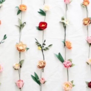 Meet your Posher, Ava